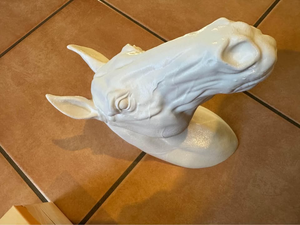 Horse Head