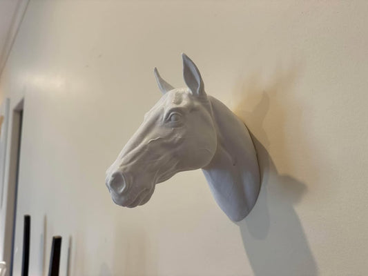 Horse Head